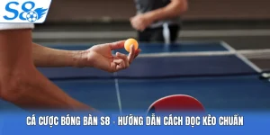 Cá Cược Bóng Bàn S8 - Hướng Dẫn Cách Đọc Kèo Chuẩn