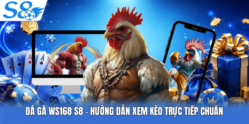 Đá Gà Ws168 S8 - Hướng Dẫn Xem Kèo Trực Tiếp Chuẩn